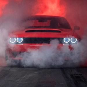 Meet your Posher, Warren